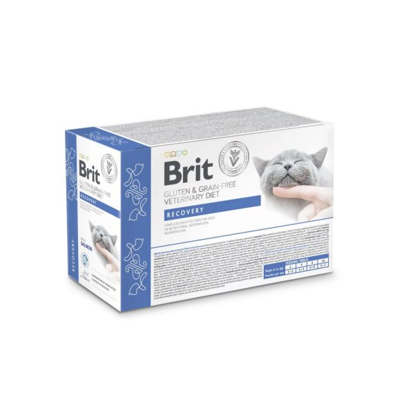 Brit GF Veterinary Diet CAT Pouches Fillet in Gravy Recovery 12x85g
